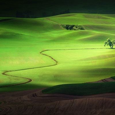 BO半岛综合app安全下载下载手机版